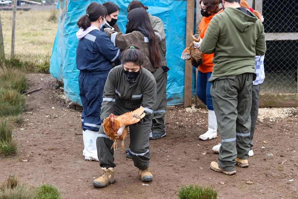 Operativo Zoosanitario en Vilches