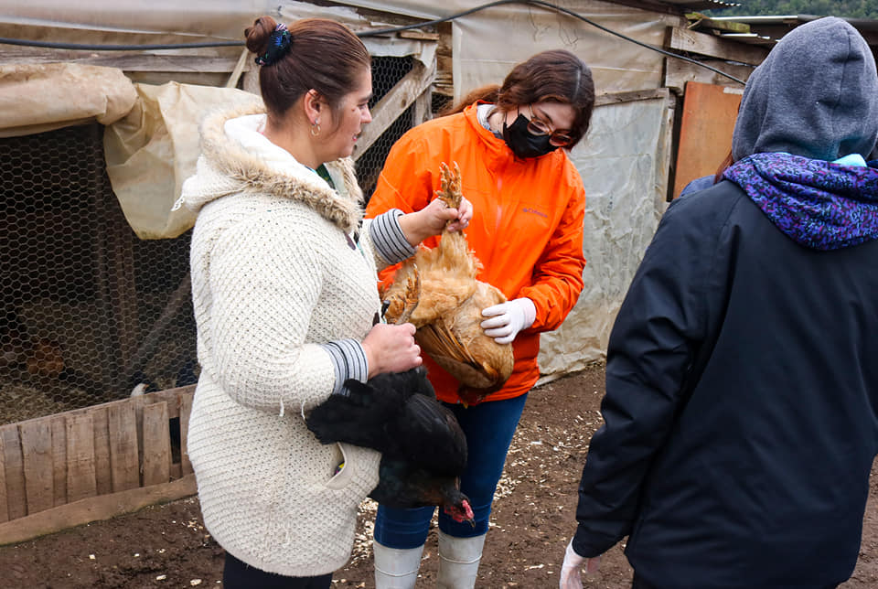 Operativo Zoosanitario en Vilches