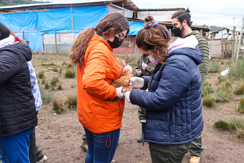 Operativo Zoosanitario Vilches