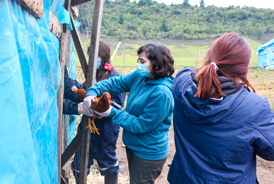 Operativo Zoosanitario en Vilches