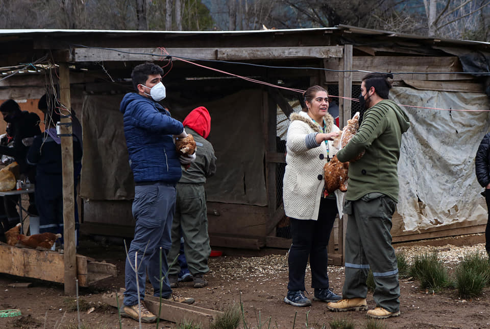 Operativo Zoosanitario en Vilches