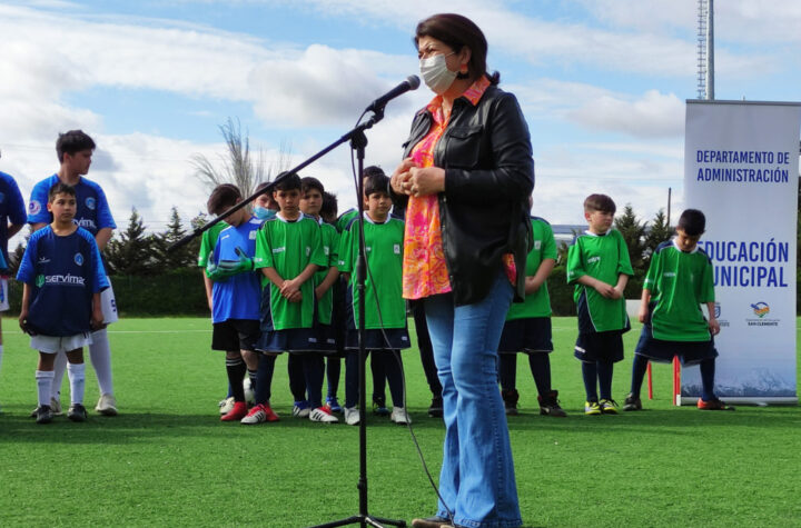 Copa Ambiental