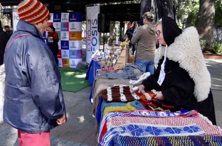 Emprendedores del Maule