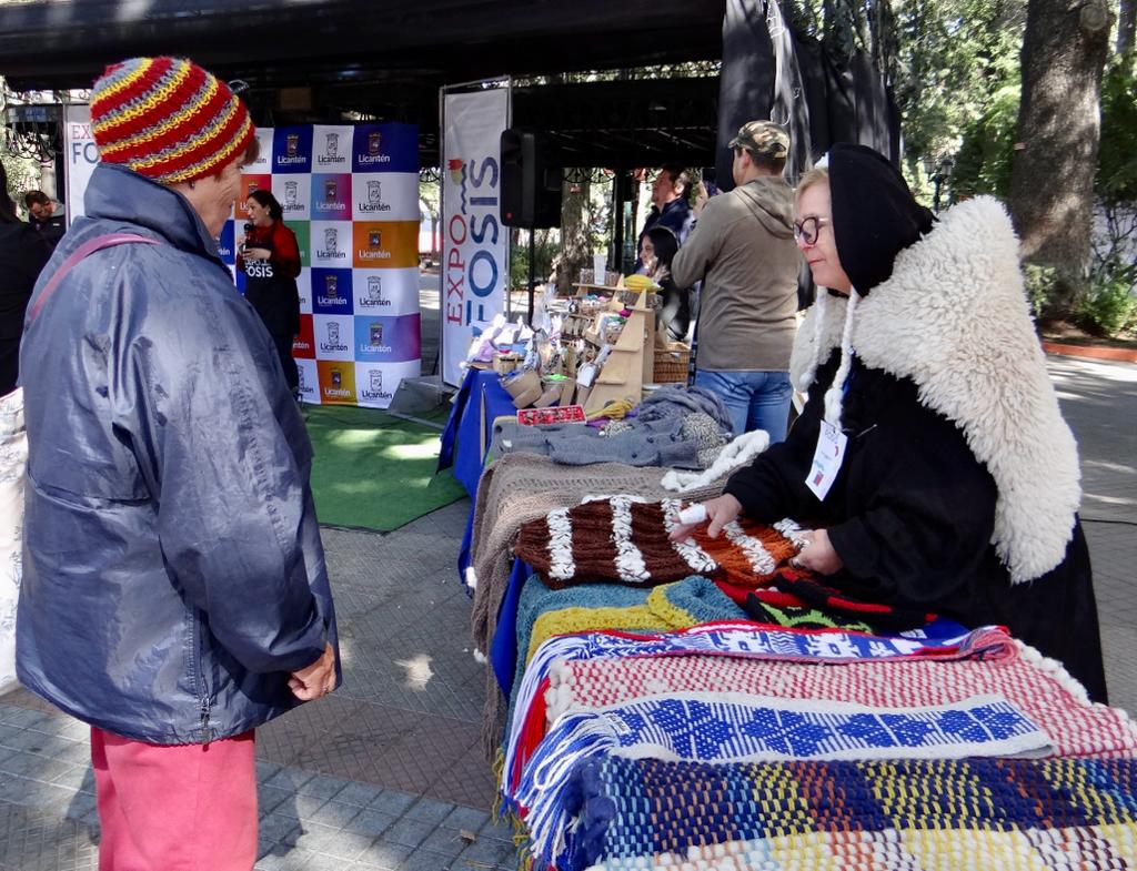 Emprendedores del Maule