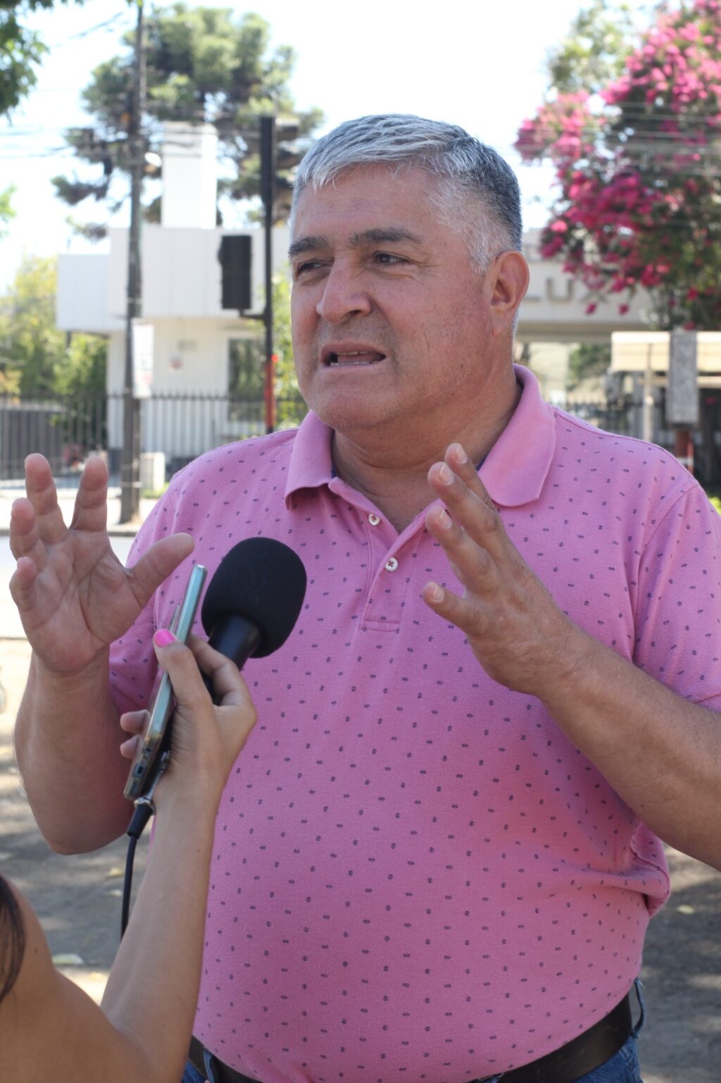 piñera sixto gonzalez